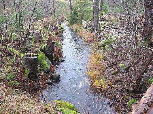 Bottenfauna i Kalmar län 28 32 Vattensystem: Vattendrag/namn: Provpunktsbeteckning: NÄTTRABYÅN Bäck från Skepen, Skeppetånga BF67 Provdatum: 28-11-11 Koordinater x: 6261761 y: 1477893 Kommun: