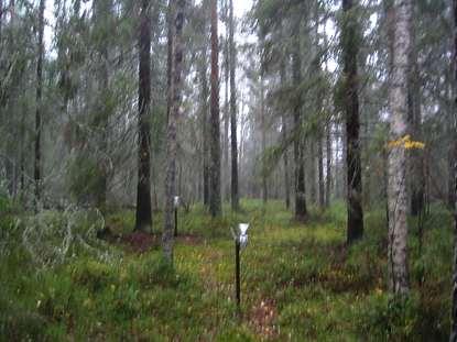 Bäcksjö (AC 30): Ytan i Bäcksjö är en av ytorna med längst mätserie i Norrland. Mätningar startades i maj 1991. Nederbördskemiska mätningar på öppet fält avslutades i december 2000.