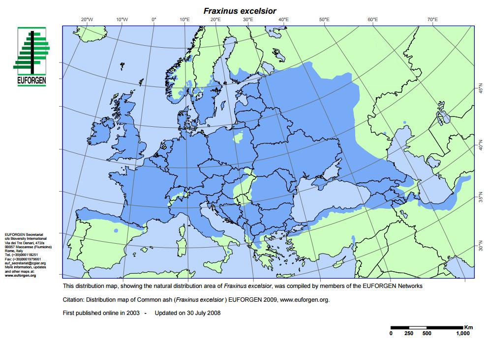Fraxinus excelsior an economically and ecologically important tree species After the last ice age, Fraxinus excelsior reestablished across Europe to its most southern locations in Greece, Italy and
