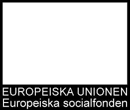 Bilaga. Minnesanteckningar ESF-delprojektens presentationer Internat med regionala samordnare 25 26 september 2018 i Stockholm på Quality Hotel Globe.
