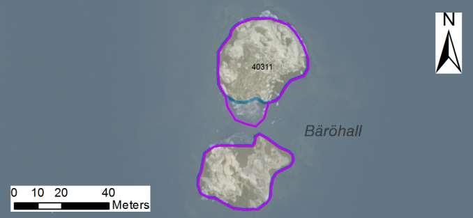 enskilda öar Arbetsinsats åtgång (1: <0,5 dv, 2: 0,5-1 dv, 3: >1 dv) Total areal 40311 Bäröhall SE0610006 2 1 0,20 Beskrivning: Två klippskär som förbinds av ett grunt, vassbevuxet sund.