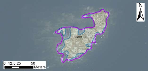 enskilda öar Arbetsinsats åtgång (1: <0,5 dv, 2: 0,5-1 dv, 3: >1 dv) Total areal 40403 Enholmens sydskär SE0610006 3 1 0,40 Beskrivning: Ett ensamt skär just söder om Enholmen där avståndet till den