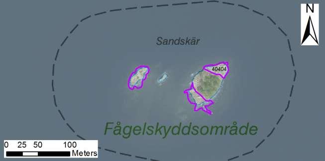 enskilda öar Arbetsinsats åtgång (1: <0,5 dv, 2: 0,5-1 dv, 3: >1 dv) Total areal 40404 Sandskär SE0610006 3 3 0,20 Beskrivning: Fågellokalen 40404 Sandskär består av trädbeklädd liten holme i öster