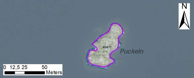 enskilda öar Arbetsinsats åtgång (1: <0,5 dv, 2: 0,5-1 dv, 3: >1 dv) Total areal 40411 Puckeln SE0610006 1 1 0,13