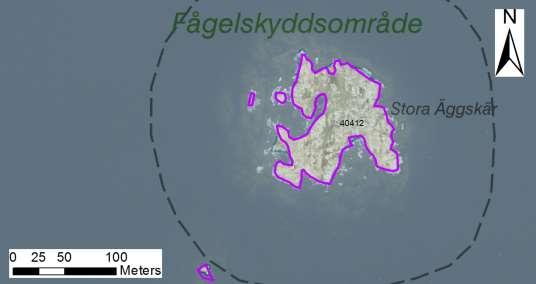 enskilda öar Arbetsinsats åtgång (1: <0,5 dv, 2: 0,5-1 dv, 3: >1 dv) Total areal 40412 Stora Äggskär SE0610006 4 1 0,84 Beskrivning: Friliggande flata skär med endast enstaka sly och