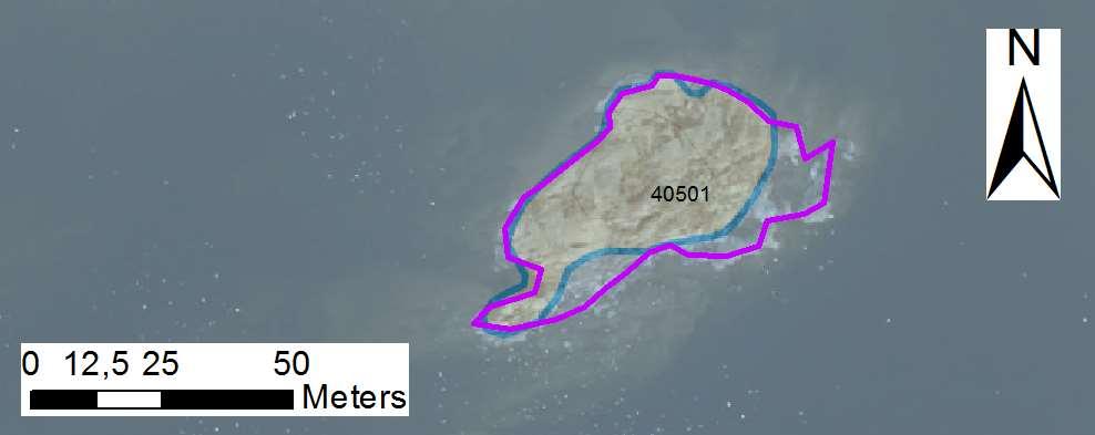 enskilda öar Arbetsinsats åtgång (1: <0,5 dv, 2: 0,5-1 dv, 3: >1 dv) Total areal 40501 Arnäsuddes sydskär SE0610006 1 1 0,16 Beskrivning: Friliggande skär just söder om Arnäs udde (Segerstad