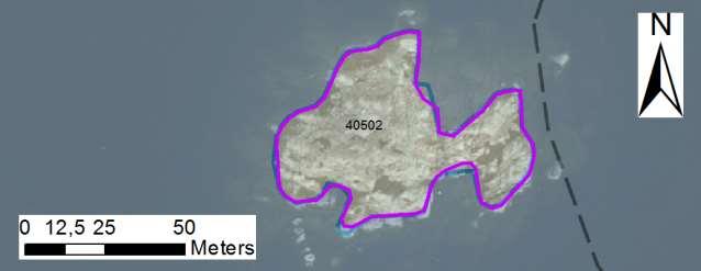 enskilda öar Arbetsinsats åtgång (1: <0,5 dv, 2: 0,5-1 dv, 3: >1 dv) Total areal 40502 Sydvästraste Guppaholmen SE0610006 1 1 0,27 Beskrivning: Friliggande skär med