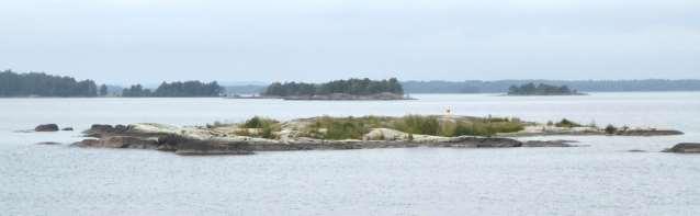 Övriga arter är: silvertärna, storlom, drillsnäppa, silltrut, småskrake, mindre strandpipare, gräsand och grågås. Röjningsbehov: Skäret röjs fritt från igenväxning.