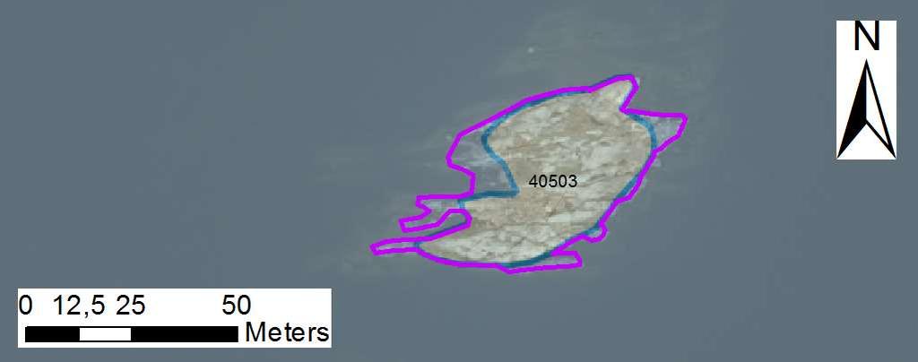 enskilda öar Arbetsinsats åtgång (1: <0,5 dv, 2: 0,5-1 dv, 3: >1 dv) Total areal 40503 Sydöstraste yttre Gubbskäret SE0610006 1 0,17 Beskrivning: Friliggande skär nästan helt utan uppväxande buskar