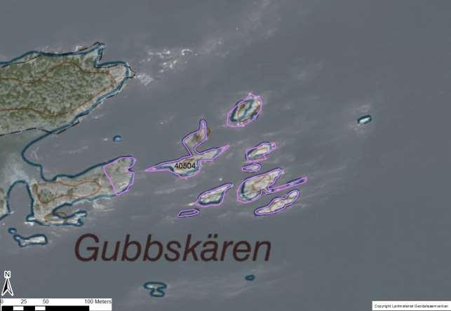 enskilda öar Arbetsinsats åtgång (1: <0,5 dv, 2: 0,5-1 dv, 3: >1 dv) Total areal 40504 Gubbskären SE0610006 9 1 0,64 Beskrivning: Spridda låga skär där enstakar tallar står på några av de inre