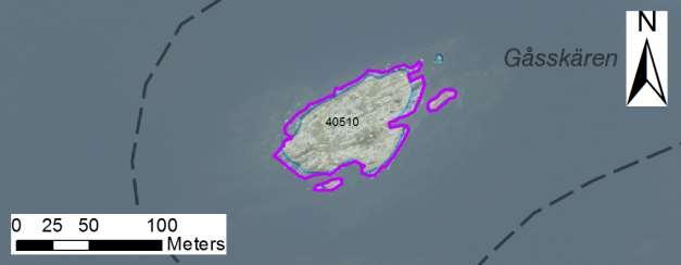 enskilda öar Arbetsinsats åtgång (1: <0,5 dv, 2: 0,5-1 dv, 3: >1 dv) Total areal 40510 Sydvästra Gåsskären SE0610006 3 1 0,51 Beskrivning: Friliggande skär med endast lägre sly och buskar.