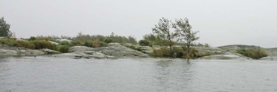 30310 Östra skäret före röjning. Foto 2011 