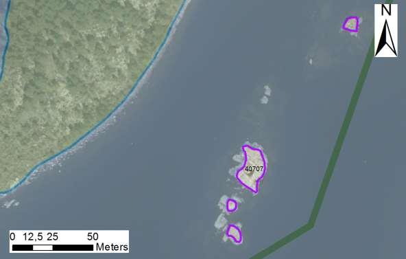 enskilda öar Arbetsinsats åtgång (1: <0,5 dv, 2: 0,5-1 dv, 3: >1 dv) Total areal 40707 Västra Skagenes skär SE0610006 4 1 0,044 Beskrivning: