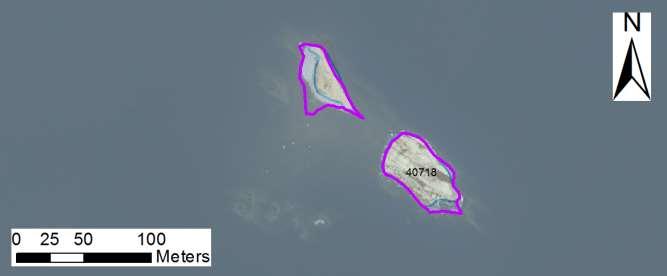 enskilda öar Arbetsinsats åtgång (1: <0,5 dv, 2: 0,5-1 dv, 3: >1 dv) Total areal Kattholmarnas inre nordostskär SE0610006 2 1 0,33 40718