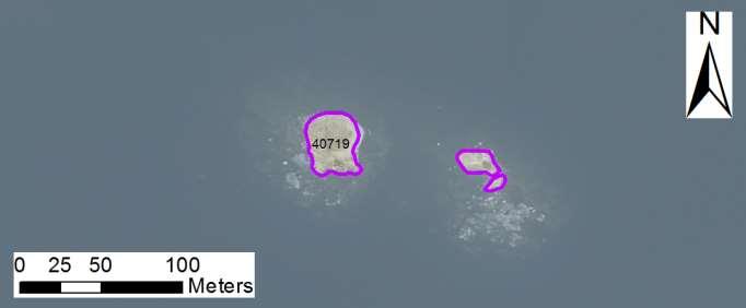 enskilda öar Arbetsinsats åtgång (1: <0,5 dv, 2: 0,5-1 dv, 3: >1 dv) Total areal Kattholmarnas yttre 40719 nordostskär SE0610006