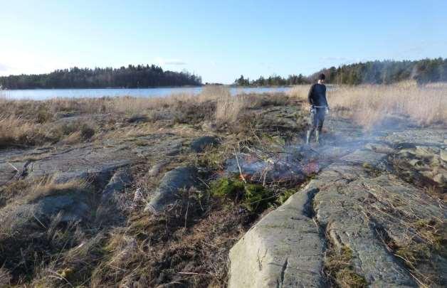 Sly, buskar och tallplantor växer upp ohämmat och det är ganska mycket att röja.