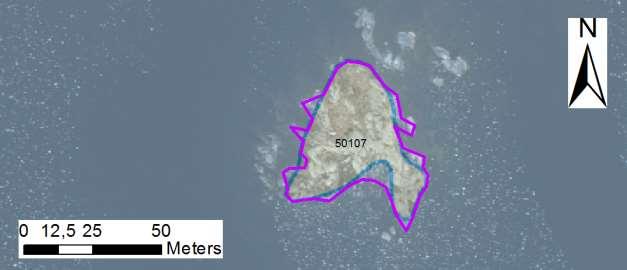 enskilda öar Arbetsinsats åtgång (1: <0,5 dv, 2: 0,5-1 dv, 3: >1 dv) Total areal 50107 Mövikens västskär SE0610006 1 1 0,17 Beskrivning: Ett mycket låglänt och flackt skär som överspolas år när det