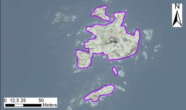 enskilda öar Arbetsinsats åtgång (1: <0,5 dv, 2: 0,5-1 dv, 3: >1 dv) 50108 Mövikens ostskär SE0610006 4 1 0,44 Beskrivning: Friliggande skär med uppväxande sly och buskar samt enstaka träd.
