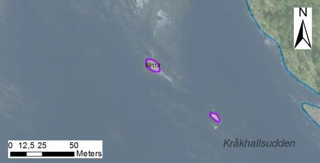 enskilda öar Arbetsinsats åtgång (1: <0,5 dv, 2: 0,5-1 dv, 3: >1 dv) Total areal Kråkhallsuddens sydvästra skär SE0610006 8 1 0,010 50113 Beskrivning: Små skär exponerade i gattet mellan Skallholmen
