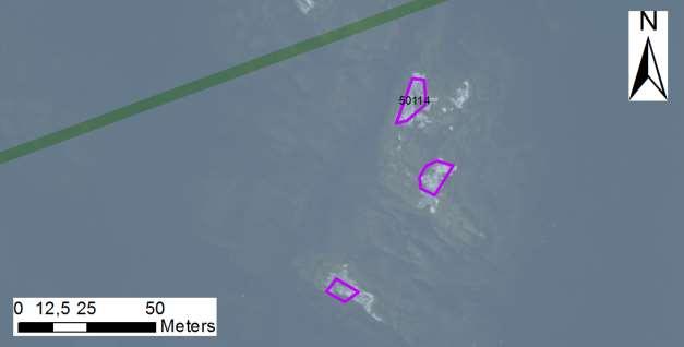 områdes nr enskilda öar Arbetsinsats åtgång (1: <0,5 dv, 2: 0,5-1 dv, 3: >1 dv) 50114 Fiskeviksholmens sydvästskär SE0610006 6 1 0,02 Beskrivning: