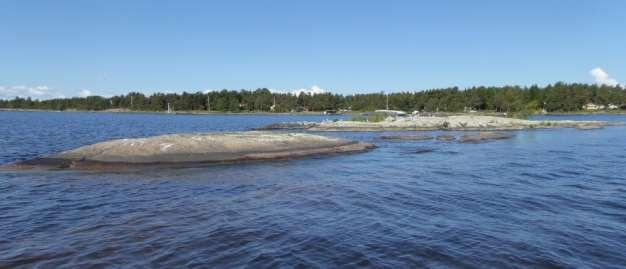 Total areal Fåglar: Dominerande arter: fiskmås (12-145 ex), fisktärna (2-10 ex) och silvertärna (6-50 ex).
