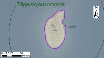 enskilda öar Arbetsinsats åtgång (1: <0,5 dv, 2: 0,5-1 dv, 3: >1 dv) 50304 Storskär SE0610006 1 3 0,40 Beskrivning: Tät lövsly och unga tallar. En stor tall som markägaren vill behålla.