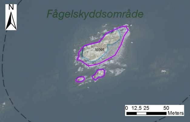 enskilda öar Arbetsinsats åtgång (1: <0,5 dv, 2: 0,5-1 dv, 3: >1 dv) Fågel- Skär 50305 Russvillorna SE0610006 3 1 0,17 Beskrivning: Friliggande skär