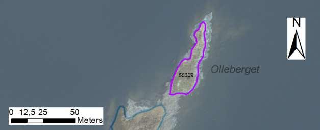 enskilda öar Arbetsinsats åtgång (1: <0,5 dv, 2: 0,5-1 dv, 3: >1 dv) Total areal 50309 Olleberget SE0610006 1 1 0,07 Beskrivning: Relativt högvuxet lövsly. Allt röjs bort.