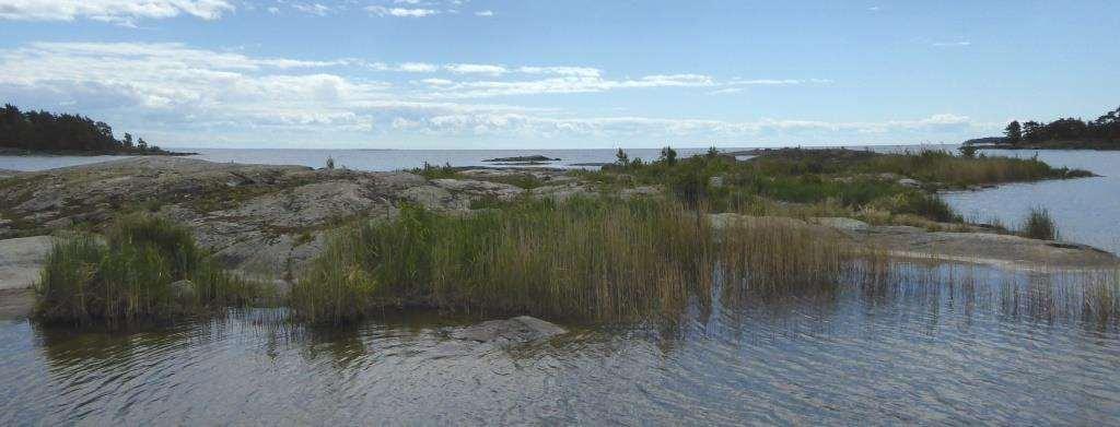 50401 Ormskären, mellersta från norr (efter
