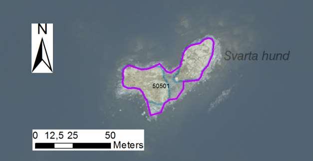 enskilda öar Arbetsinsats åtgång (1: <0,5 dv, 2: 0,5-1 dv, 3: >1 dv) 50501 Hästholmens nordskär SE0610006 2 1 0,12 Beskrivning: Skäret heter Svarta hund på kartan. Här finns både lövsly, små träd bl.