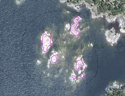 enskilda öar Arbetsinsats åtgång (1: <0,5 dv, 2: 0,5-1 dv, 3: >1 dv) Total areal 50502 Rellingens nordvästskär SE0610006 6 1 0,42 Beskrivning:
