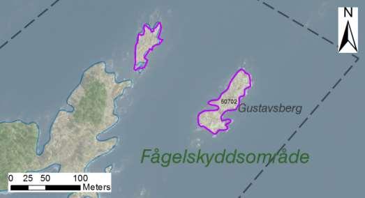 enskilda öar Arbetsinsats åtgång (1: <0,5 dv, 2: 0,5-1 dv, 3: >1 dv) Total areal 50702 Gustavsberg SE0610006 2 1 0,40 Beskrivning: Tvådelat skär som ligger nordost om Långöudden på Långön