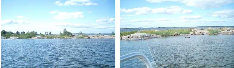 Enstaka exemplar fanns av: stenskvätta, småskrake, havstrut, drillsnäppa, fiskmås, knölsvan och gräsand. Röjningsbehov: Båda skären röjs i sin helhet och hålls fria från träd och buskar.