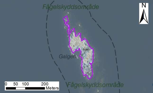 Arbetsinsats åtgång (1: <0,5 dv, 2: 0,5-1 dv, 3: >1 dv) Total areal enskilda öar 50801 Galgen SE0610006 1 3 1,63 Beskrivning: Fritt