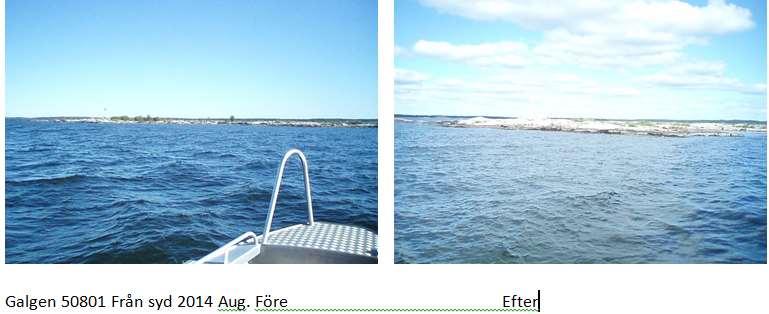 Fåglar: Dominerande arter: gråtrut (80-180 ex), silvertärna (9-45 ex) och fisktärna (4-40 ex).
