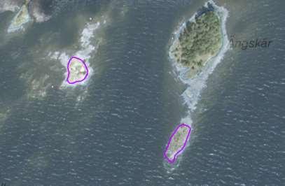 Arbetsinsats åtgång (1: <0,5 dv, 2: 0,5-1 dv, 3: >1 dv) Total areal enskilda öar 50907 Ängskärs skär SE0610006 1 1