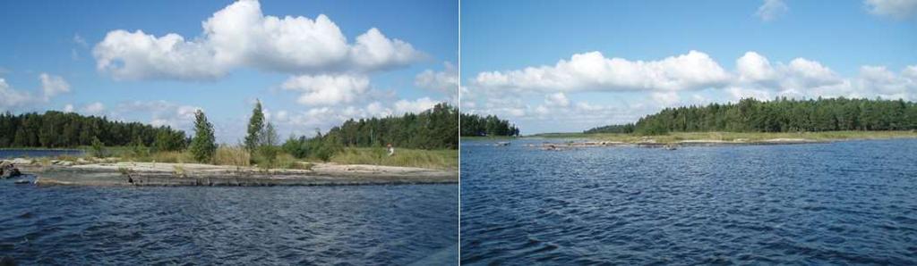 50907 Ängskärs skär (västra) före och efter första röjning höst 2014.