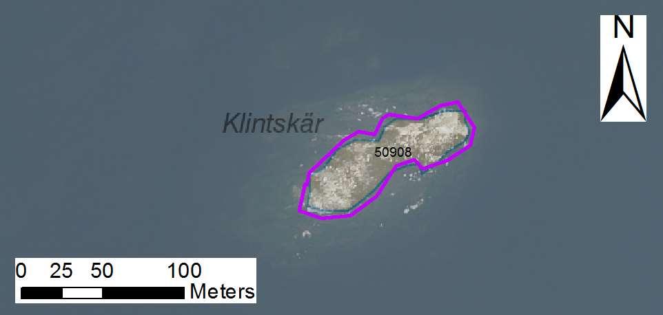Arbetsinsats åtgång (1: <0,5 dv, 2: 0,5-1 dv, 3: >1 dv) Total areal enskilda öar 50908 Klintskär SE0610006 1 1 0,36 Beskrivning: Friliggande skär.