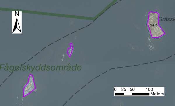 enskilda öar Arbetsinsats åtgång (1: <0,5 dv, 2: 0,5-1 dv, 3: >1 dv) Total areal 50910 Grässkären SE0610006 1 1 0,39 Beskrivning: Tre fågelskär i samma fågelskyddsområde som Svartskär.
