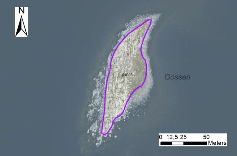 enskilda öar Arbetsinsats åtgång (1: <0,5 dv, 2: 0,5-1 dv, 3: >1 dv) Total areal 51003 Gossen SE0610006 1 3 0,31 Beskrivning: Fritt liggande skär med igenväxande buskar och sly.