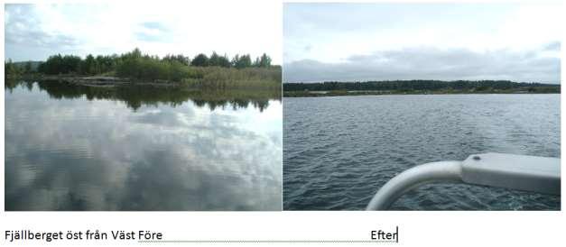 Före och efter röjning