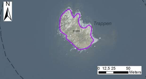 enskilda öar Arbetsinsats åtgång (1: <0,5 dv, 2: 0,5-1 dv, 3: >1 dv) Total areal 51203 Trappen SE0610006 1 2 0,22 Beskrivning: Fritt liggande skär med igenväxande al, björk, rönn och videbuskar.