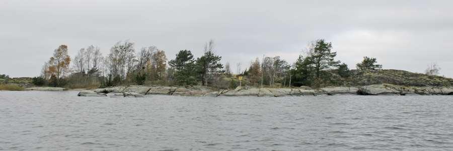 röjning. Foto 2011.