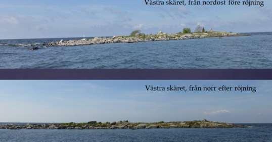 2014. 51204 Lakholmsskären