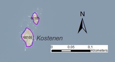 Arbetsinsats åtgång (1: <0,5 dv, 2: 0,5-1 dv, 3: >1 dv) Total areal enskilda öar 60105 Kostenen SE0610249 2 2 0,14 Beskrivning: Exponerat skär med viss igenväxning av sly och buskar.