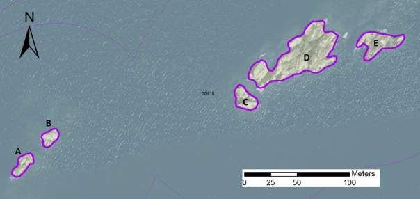 enskilda öar Arbetsinsats åtgång (1: <0,5 dv, 2: 0,5-1 Total areal dv, 3: >1 dv) 30415 Enholmens västskär SE0610001 3 1 0,38 Beskrivning: Lokalen utgörs av fyra klippskär på rad i skyddat läge väster