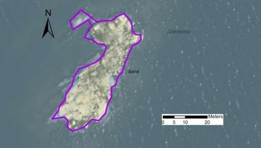 enskilda öar Arbetsinsats åtgång (1: <0,5 dv, 2: 0,5-1 dv, 3: >1 dv) Total areal 30416 Djäkneskär SE0610001 1 1 0,09 Beskrivning: Lokalen utgörs