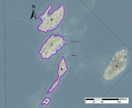 Arbetsinsats åtgång (1: <0,5 dv, 2: 0,5- Total areal enskilda öar 1 dv, 3: >1 dv) 30424 Hårvantarna SE0610001 4 1 0,90 Beskrivning: Lokalen består av en liten skogbevuxen holme i öster och en i det