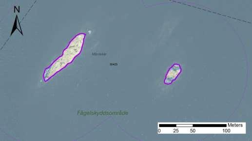 enskilda öar Arbetsinsats åtgång (1: <0,5 dv, 2: 0,5-1 Total areal dv, 3: >1 dv) 30425 Märdskär SE0610001 2 1 0,18 Beskrivning: Lokalen består av två till