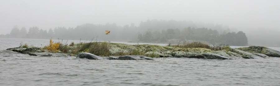 Lövsly (småbuskar med vide, björk och klibbal) är på gång på båda skären, mest på det östra.